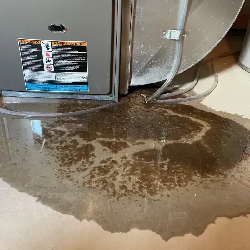 Appliance Leak Cleanup in Huron, SD